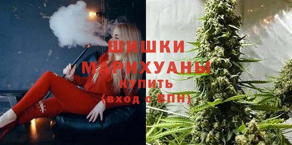 mdpv Гусь-Хрустальный